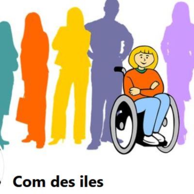 Entreprise Adaptée COM DES ILES (Les Abymes) (EA)