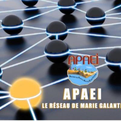 Entreprise Adaptée Solidarité APAEI (Marie-Galante) (EA)