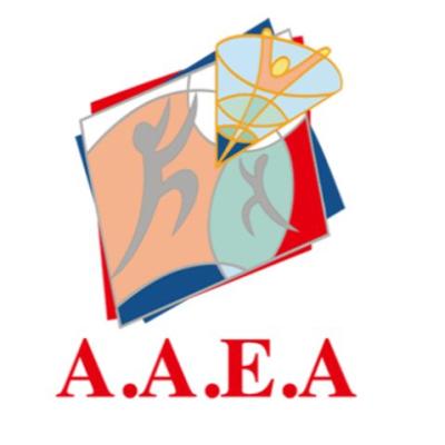 Association d'Aide à l'Enfance et à l'Adolescence (A.A.E.A.)